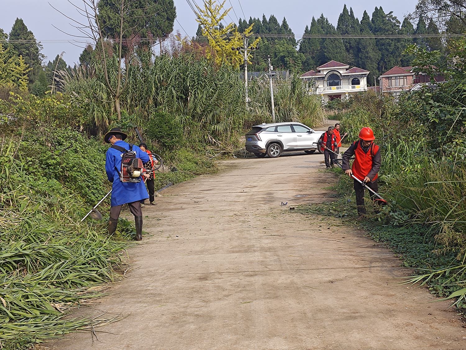 阮家村开展公路沿线杂草清理行动 绘就人居环境整治新画卷