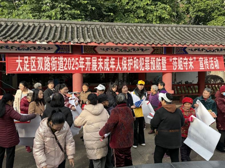 双路街道开展莎姐守未宣传活动