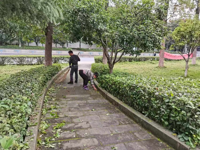 龙水镇：网格员开展日常巡查 维护市容环境干净整洁