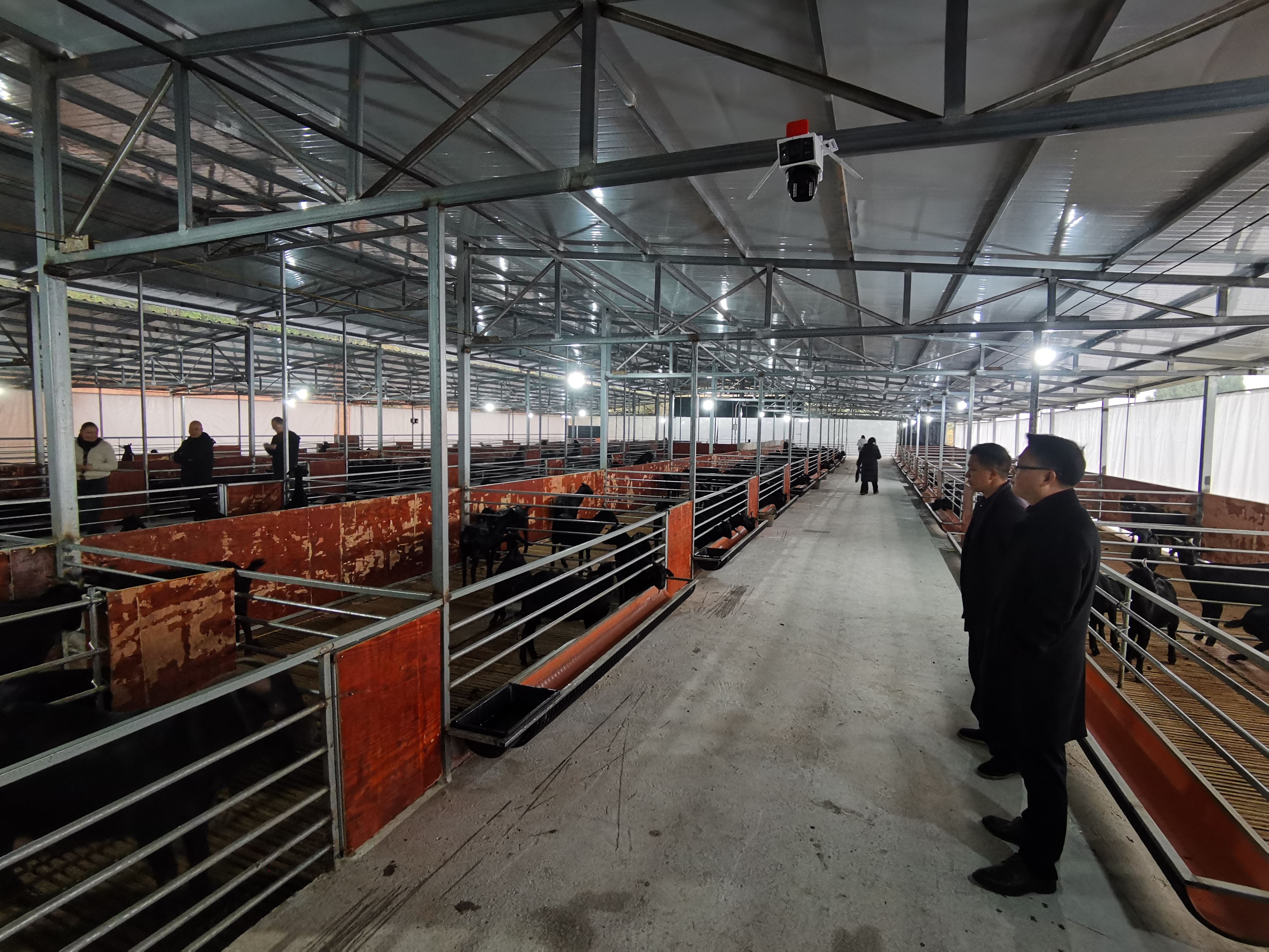 铁山镇人大：开展“国家宪法日” 宣传活动