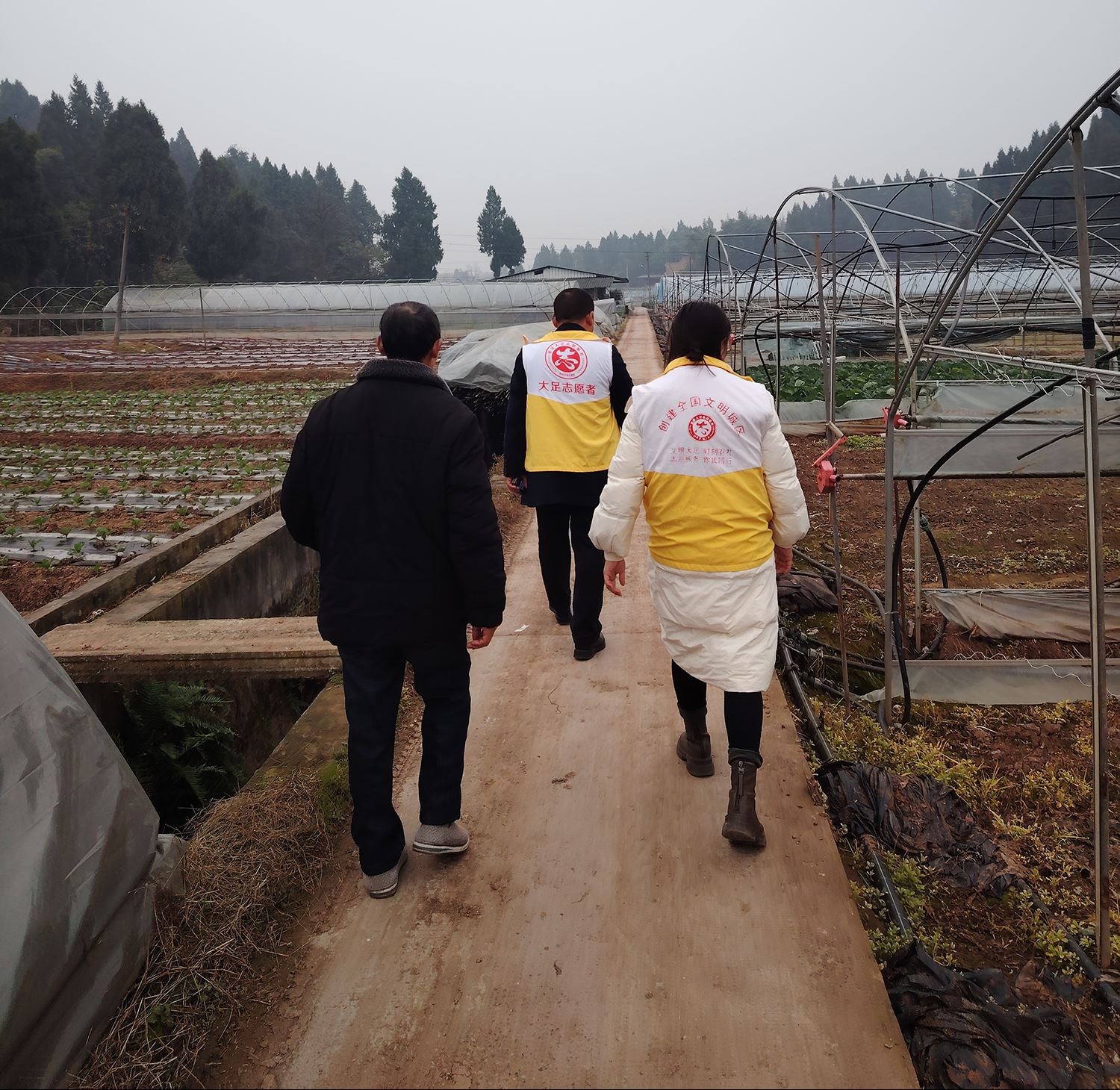 保护生态环境  共建绿色家园