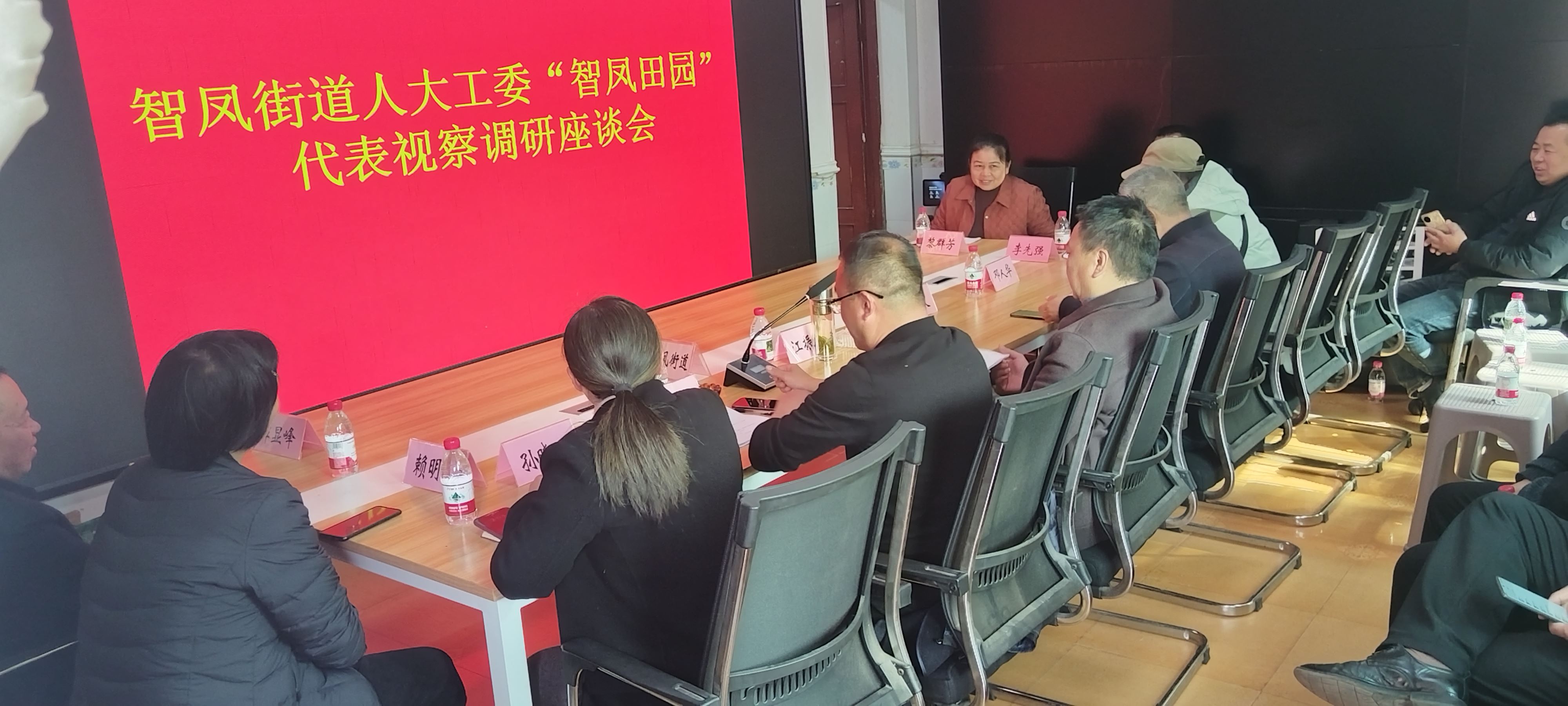 区人大常委会智凤街道工委：视察调研添动力 田园画卷绘新篇