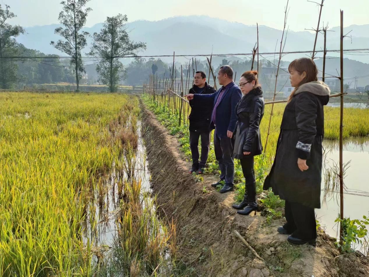 拾万镇纪委：“阳光监督”护航村集体经济发展