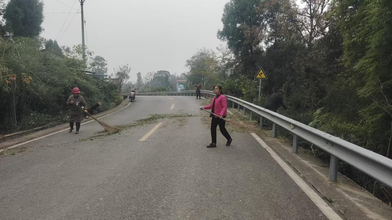 高坪镇：共护“四好农村路”助力乡村新发展