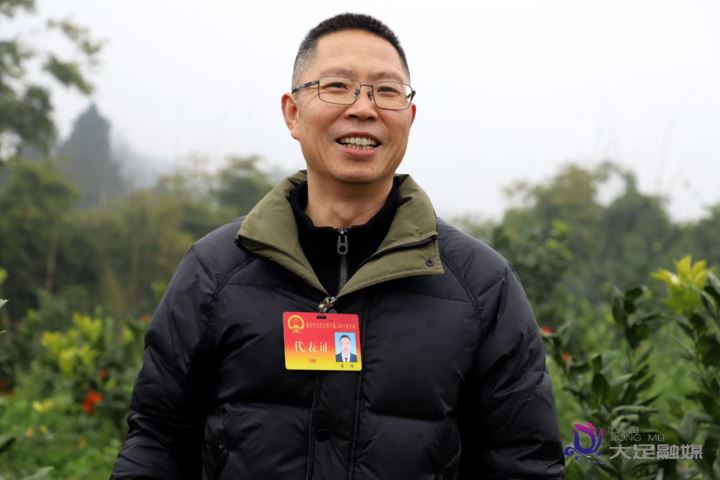 区人大代表覃维：以产业“橙”意书写履职答卷