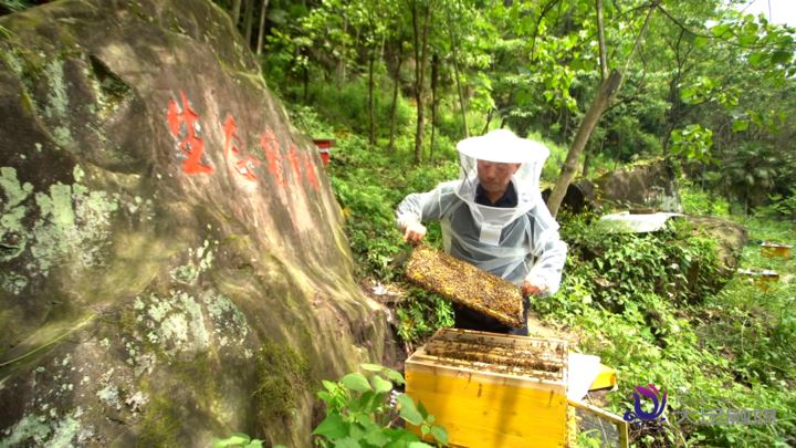 一张规划如何激活川渝边界两个村？