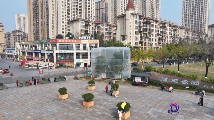 公园冬季养护忙“换装”蓄力待春归